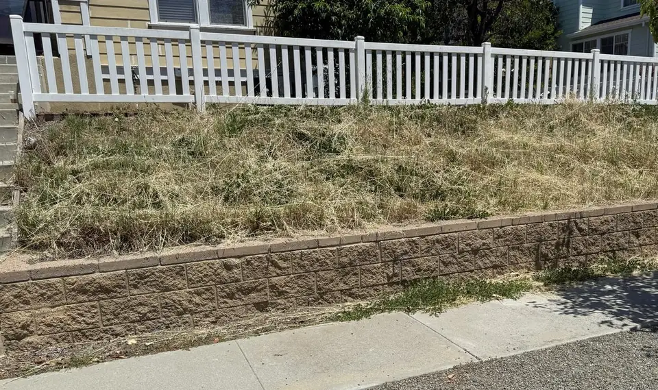 Before: Front slope: overgrown dry weeds cleared, fresh mulch and new plantings.